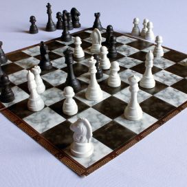 Kan man leve af skak?